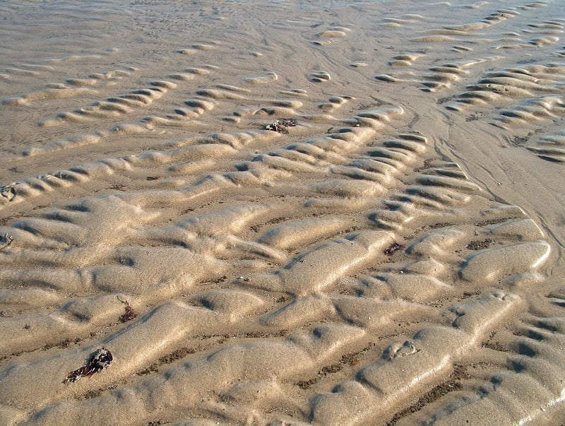 Personal Branding Image